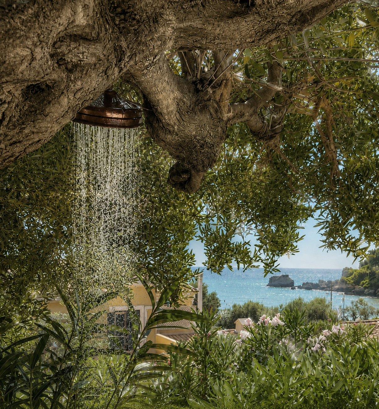 Glyfada garden detail